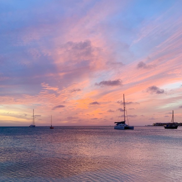 Meet your Posher, Ella - Picture 1 of 1